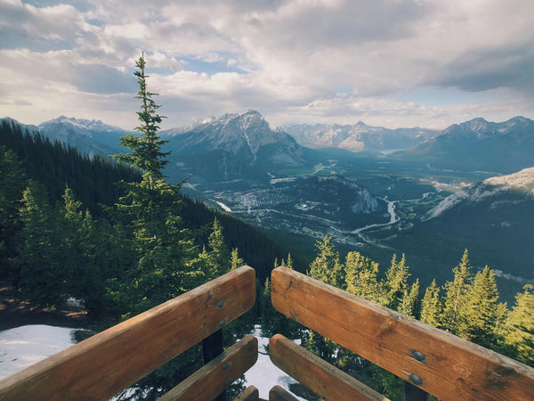 Wilderness